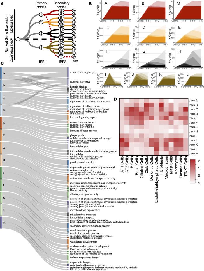DREM tracks at each stage of IPF.
(A) Flow diagram showing the 4 primary...