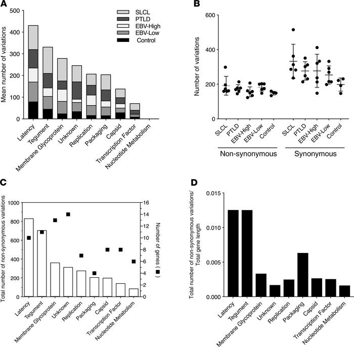 Latency and tegument genes contain the highest number of synonymous and ...