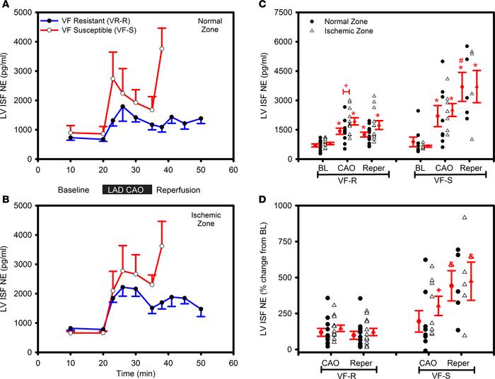 LV interstitial fluid NE VF–resistant versus VF–susceptible subjects.
Ch...