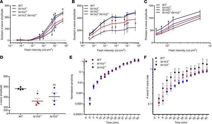 Loss of Nr1h3 in vivo compromises visual function.
Averaged ERG response...