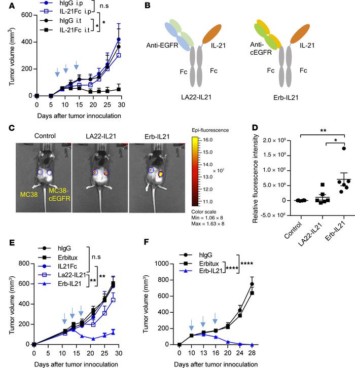 Local delivery of IL-21 is superior to systemic delivery for tumor contr...