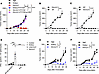 The antitumor effect of Erb-IL21 relies on preexisting intratumoral CD8+ CT