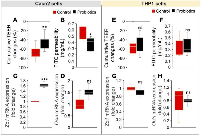 Probiotics primarily act on intestinal tight junctions versus immune cel...