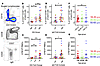 Peripheral blood plasmablast (PB) response 7 days after QIV is associated w