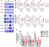 QIV elicits subdominant plasmablast response to the H3N2 influenza vaccine