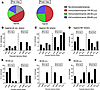 Memory B cell–derived antibody response to H3N2 vaccine strain is decreased