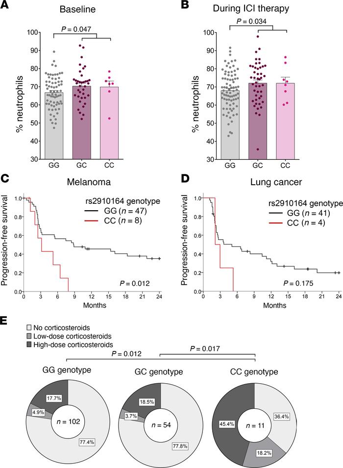 Patients with the MIR146A SNP rs2910164 display increased neutrophil num...