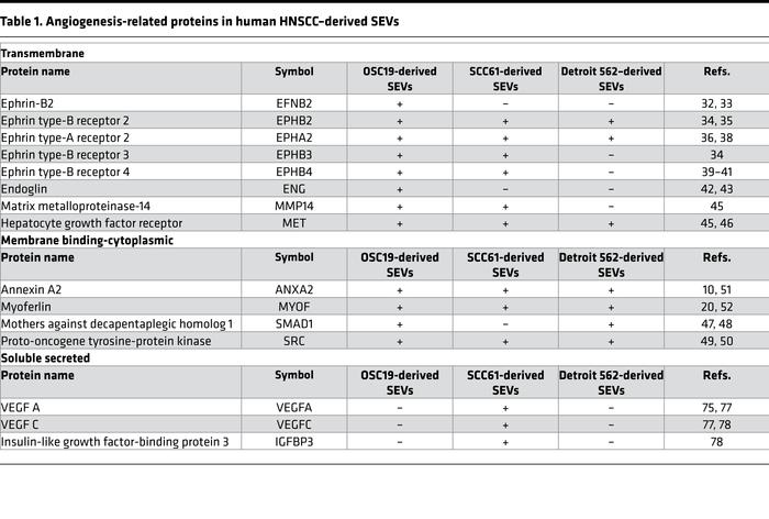 Angiogenesis-related proteins in human HNSCC–derived SEVs