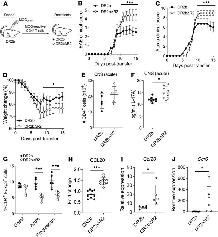 Development of progressive EAE and increased expression of CCL20 in DR2b...