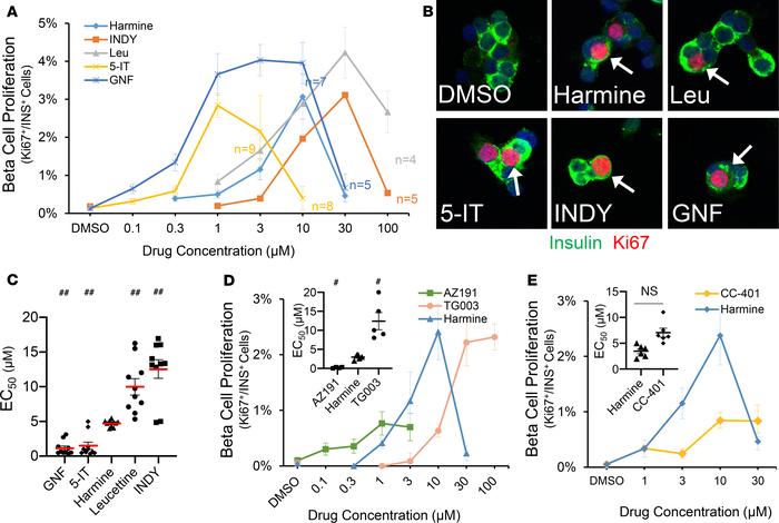 Complete dose-response curves for putative DYRK1A inhibitor drugs.
(A) D...