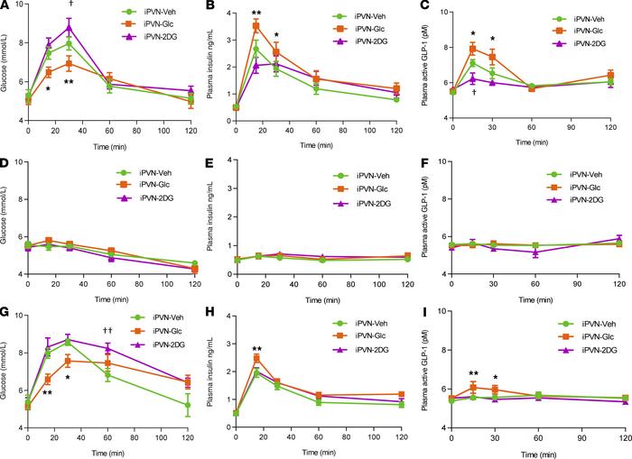 Effect of pharmacological administration of D-glucose and 2-deoxy-d-gluc...