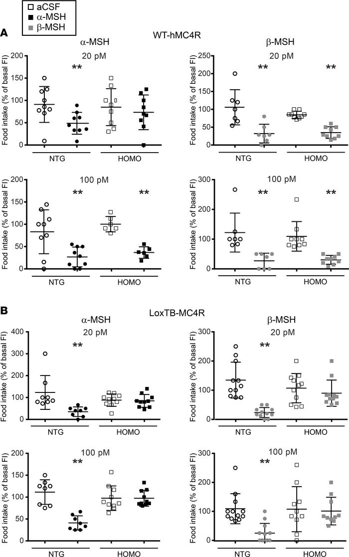 Central effect of natural melanocortin agonists on nocturnal food intake...