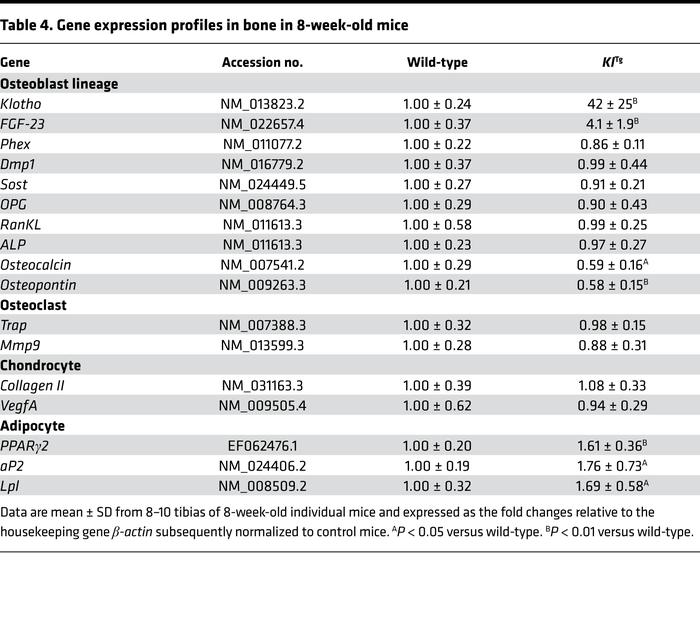 Gene expression profiles in bone in 8-week-old mice