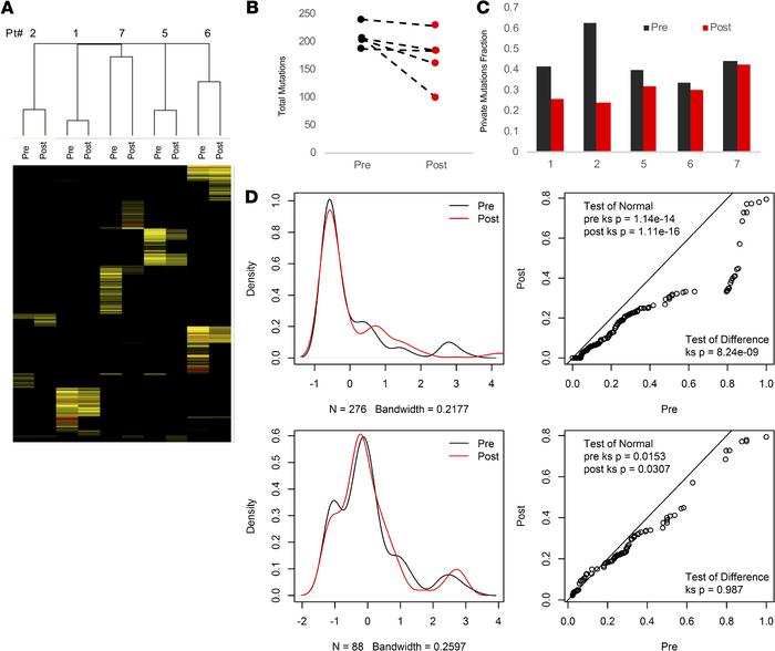 Results of the DNA allelic frequency analysis.
(A) Hierarchical cluster ...