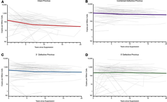 Longitudinal dynamics of proviral populations measured using IPDA.
Light...