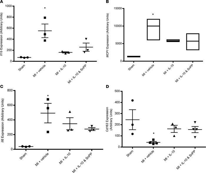 mRNA expression of proinflammatory cytokines and chemokine in the border...