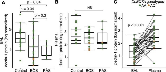 Decreased dectin-1 protein in Y238X variants and CLAD.
Soluble dectin-1 ...