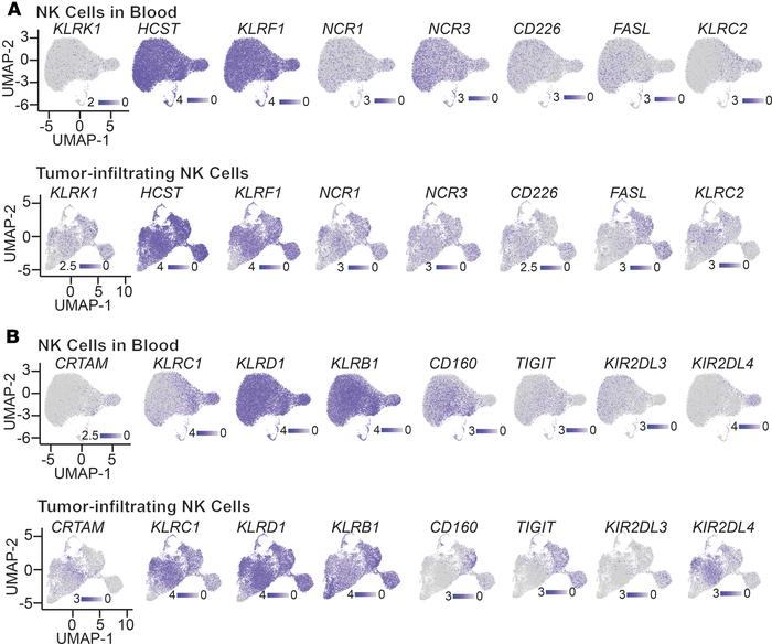 Expression of genes encoding activating and inhibitory surface receptors...