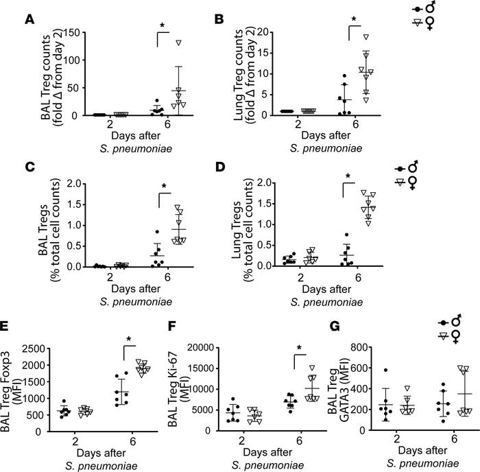 Alveolar and lung Tregs increased in female mice with resolving PNA.
BAL...