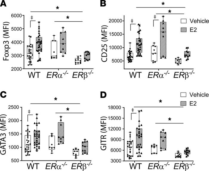 Estradiol augmentation of Treg-suppressive phenotype is ERβ dependent.
C...
