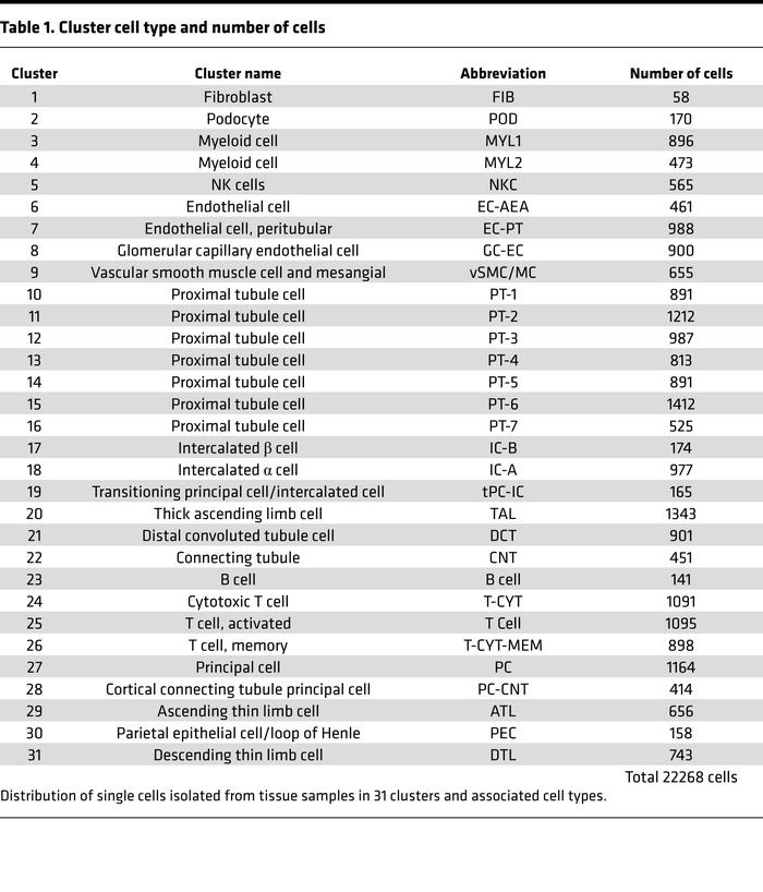 Cluster cell type and number of cells