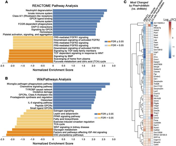 Transcriptomic analysis of most-changed genes by combining prednisolone ...