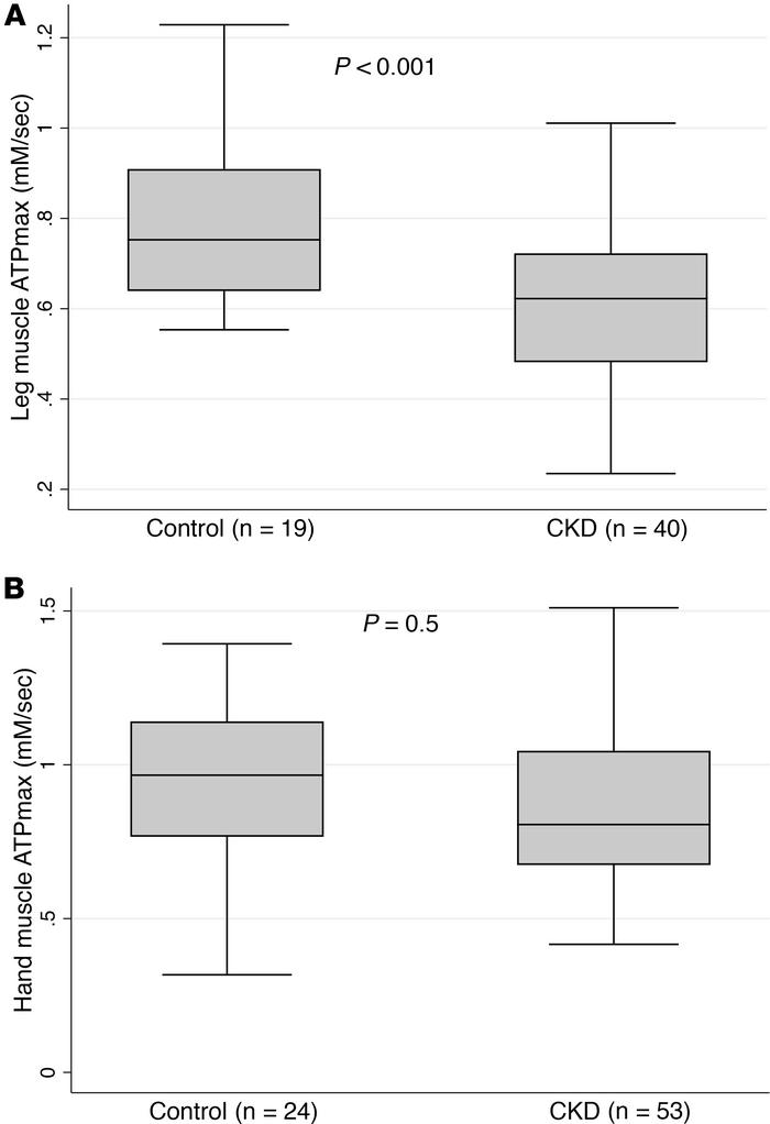 Chronic kidney disease is associated with lower leg muscle ATPmax but no...