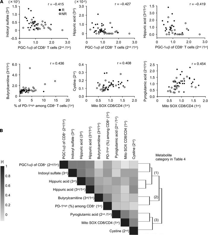 Modest correlation between particular cellular and metabolite markers ex...