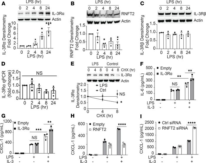 IL-3 augments proinflammatory cellular responses to LPS through IL-3Rα a...