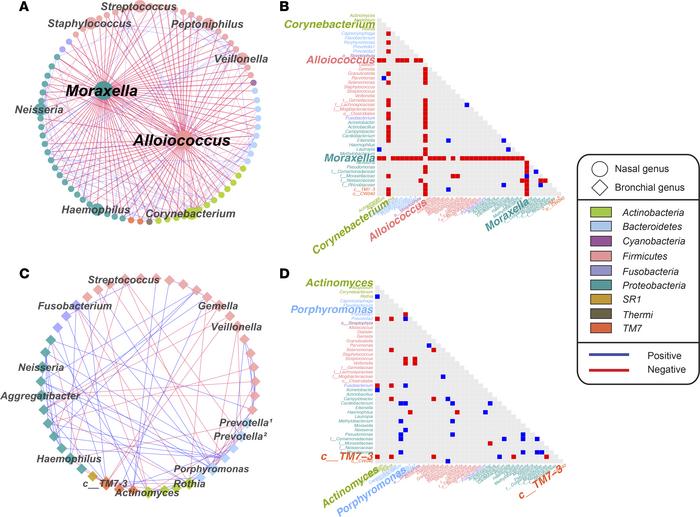 Associations among nasal microbiota and among bronchial microbiota in ch...