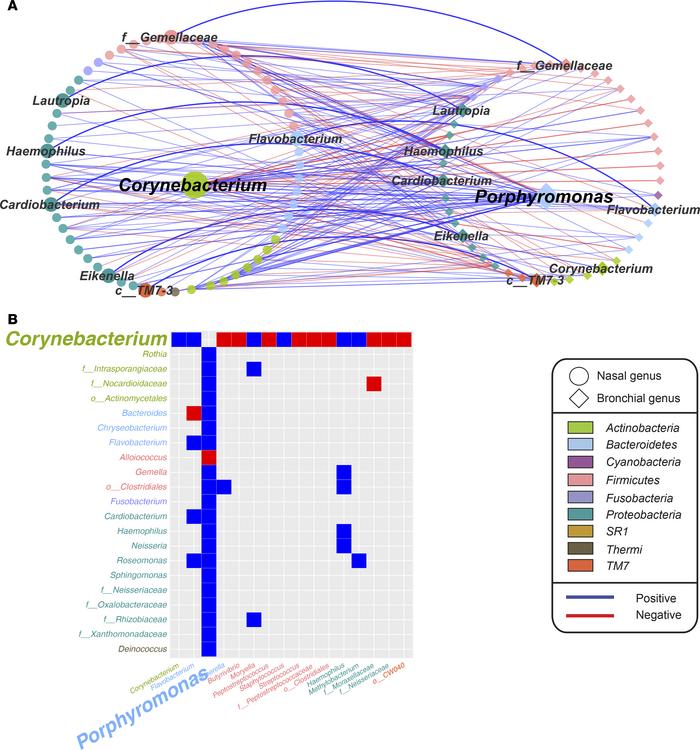 Associations between nasal and bronchial microbiota in children with sev...