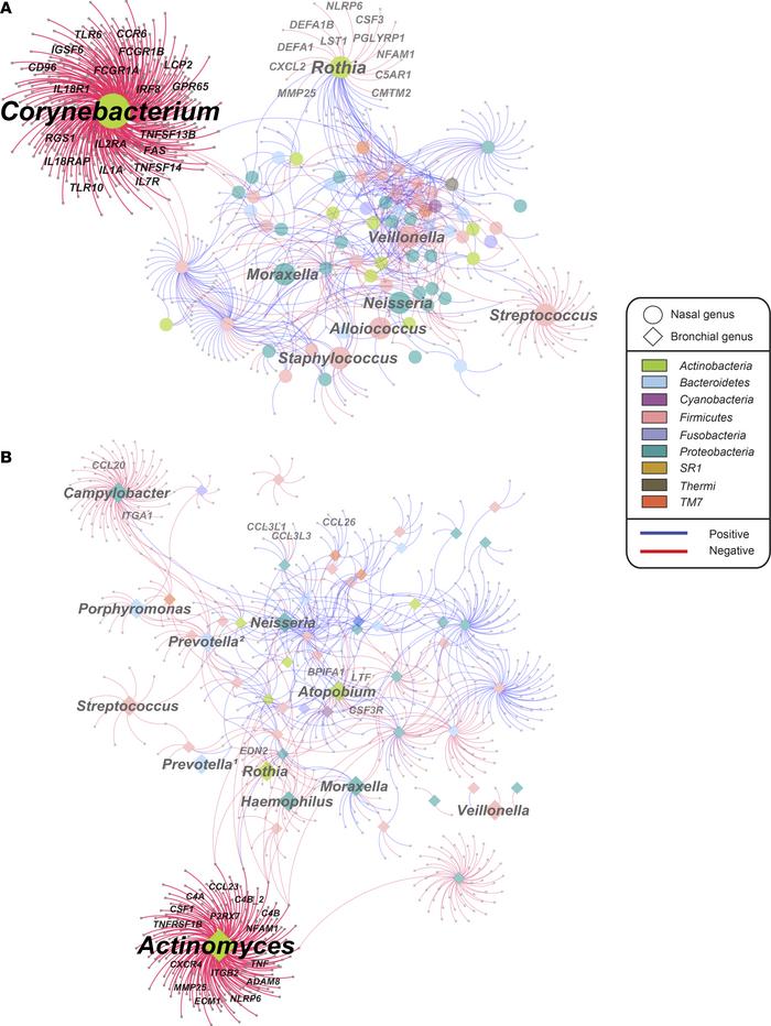Associations between transcriptome and microbiome in the nasal (step 3 i...