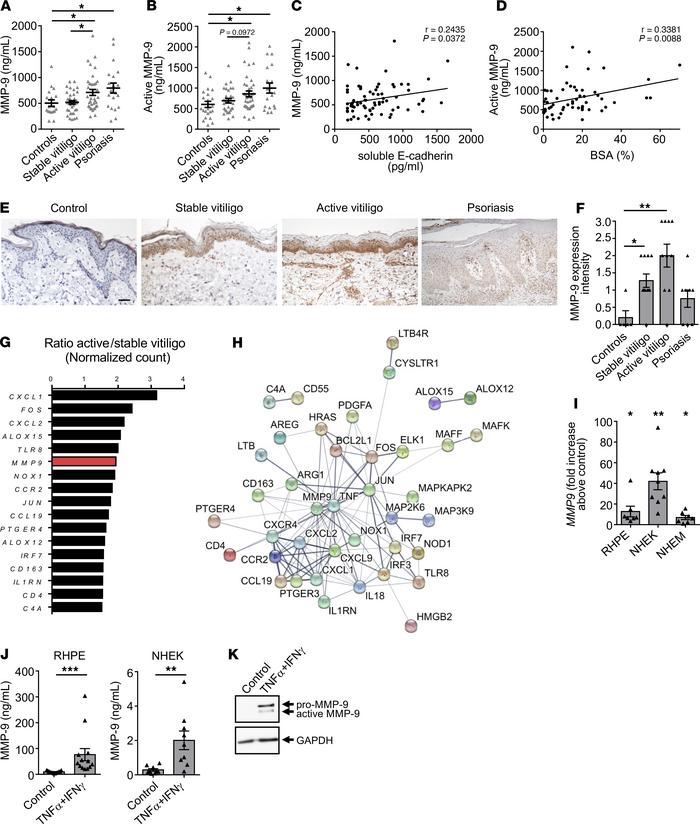 MMP-9 levels are increased in patients with vitiligo and correlate with ...