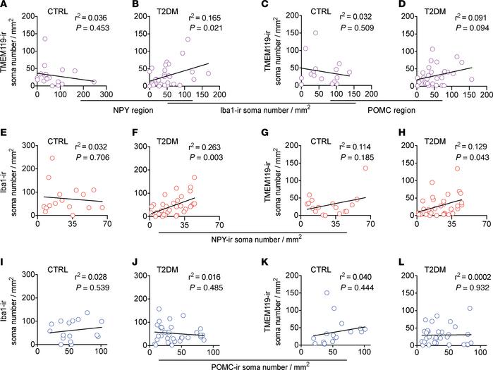 The association between the iba1-ir microglia and the TMEM119-ir microgl...