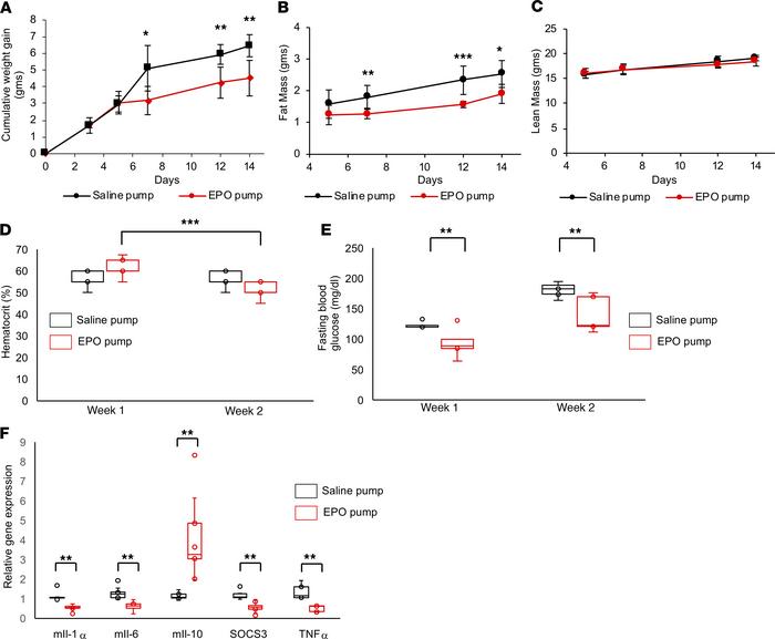 Intracerebroventricular administration of EPO protected mice from DIO an...