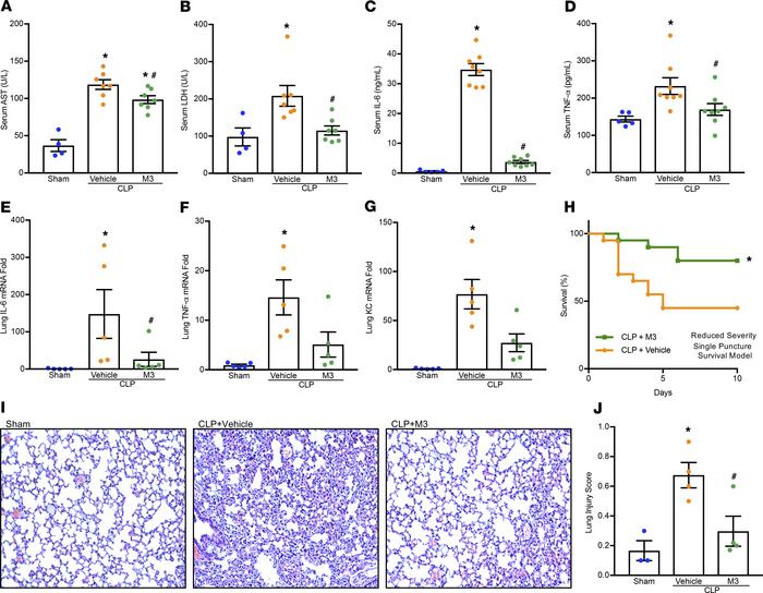 M3 protects mice from polymicrobial sepsis.
Adult C57BL/6 mice were rand...