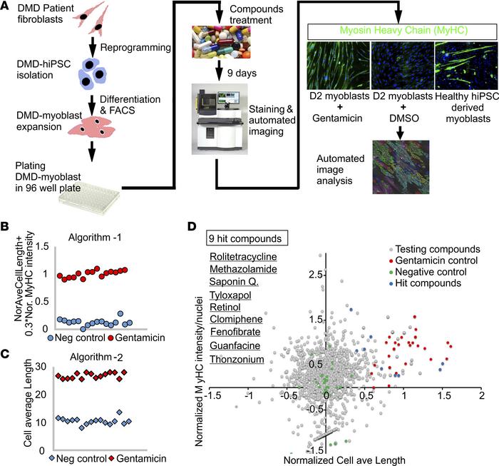 Primary compound screening reveals 9 hit compounds.
(A) Flow chart of pr...
