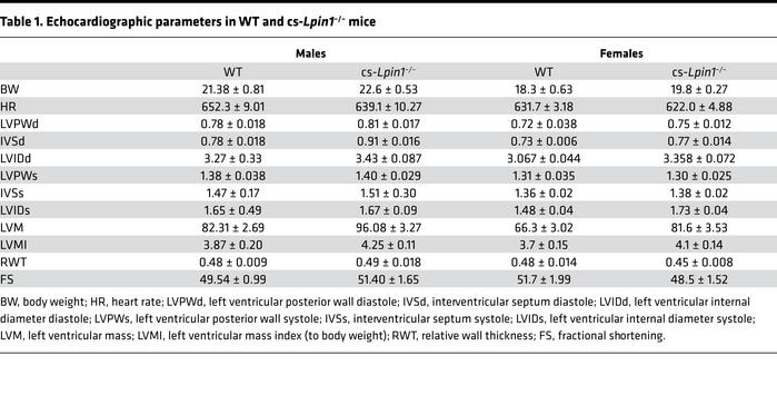 Echocardiographic parameters in WT and cs-Lpin1–/– mice