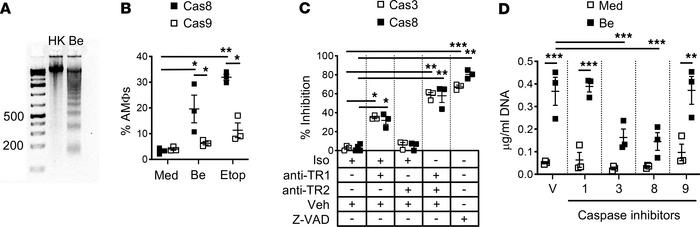 TNF-α promotes release of DNA from Be-exposed AMs by activating caspase-...