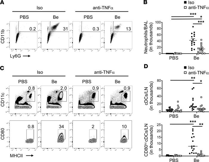 TNF-α is required for neutrophil recruitment to the airways and for mobi...