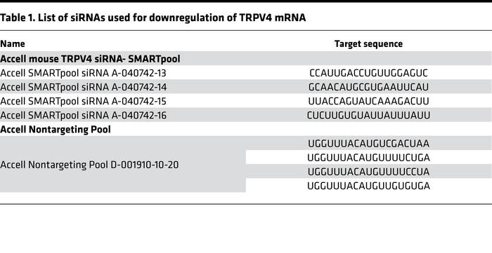 List of siRNAs used for downregulation of TRPV4 mRNA
