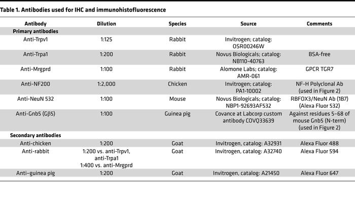 Antibodies used for IHC and immunohistofluorescence