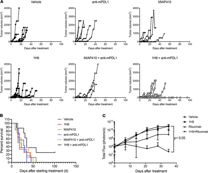 In vivo therapeutic activity of combination treatment with humanized 1H9...