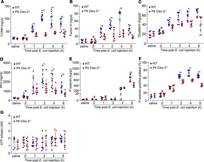 Platelet CLEC-2 deficiency reduces release of complement inhibitors from...