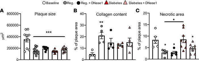 Effects of DNase1 treatment on plaque size, collagen content, and necrot...