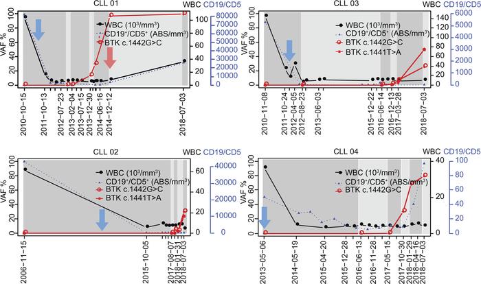 LC-FACSeq can detect early presence of ibrutinib-resistant subclones des...