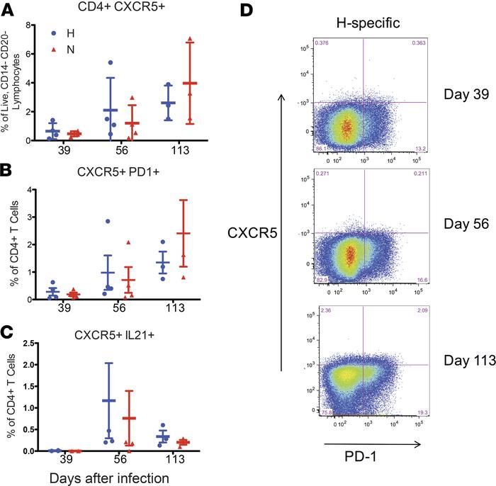 Circulating peripheral T follicular helper cells.
Frequency of H- and N-...