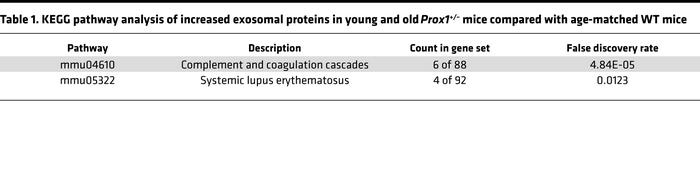 KEGG pathway analysis of increased exosomal proteins in young and old Pr...