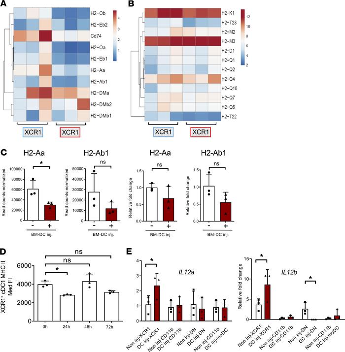 Loss of MHC-II but not MHC-I genes and acquisition of IL-12 production b...