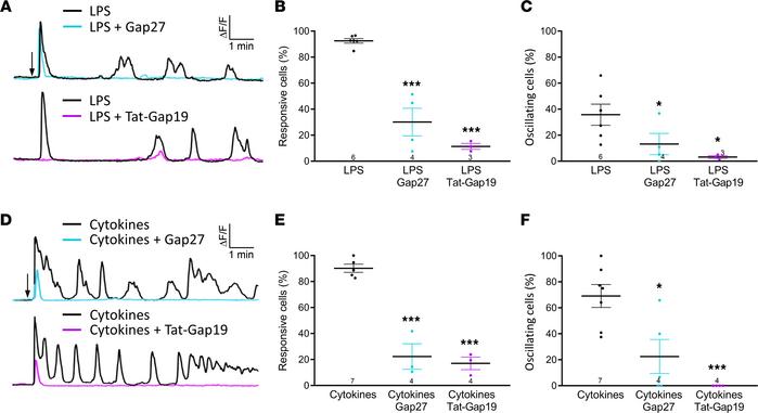 LPS and proinflammatory cytokines elicit [Ca2+]i dynamics in RBE4 cells....